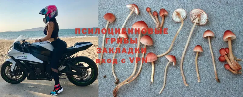 наркошоп  shop какой сайт  Псилоцибиновые грибы Cubensis  Алейск 